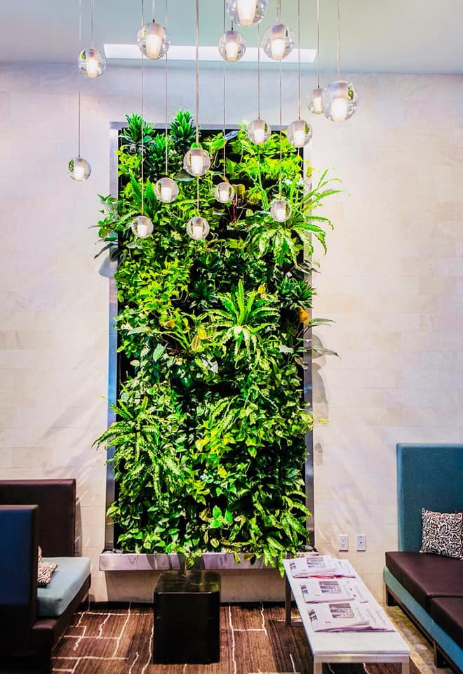 Jardin Vertical Muro Verde Geotextil Maceta Colgante 1m2 