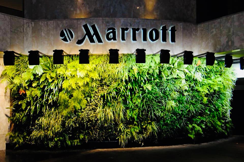 Jardin Vertical Muro Verde Geotextil Maceta Colgante 1m2 