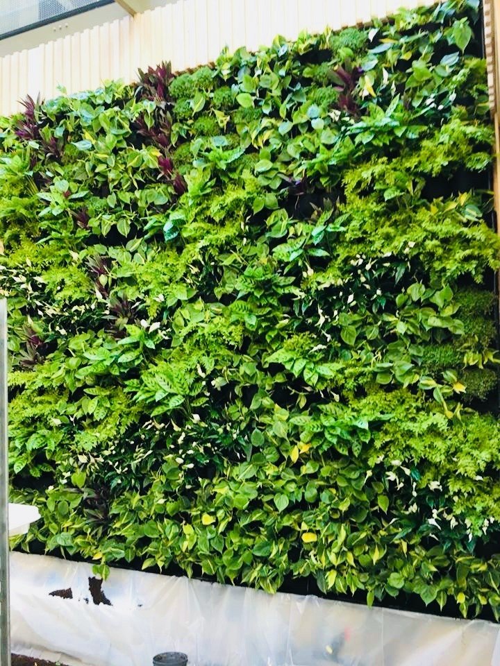 Jardin Vertical Natural Muros Verdes Naturales Geotextil 