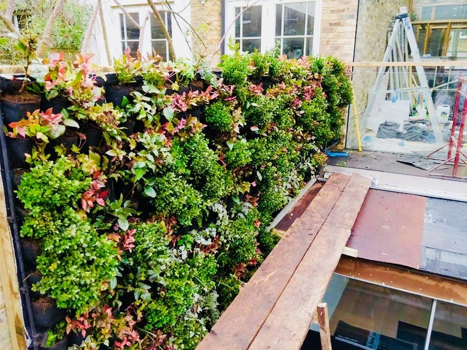 Jardin Vertical Natural Muros Verdes Naturales Geotextil 