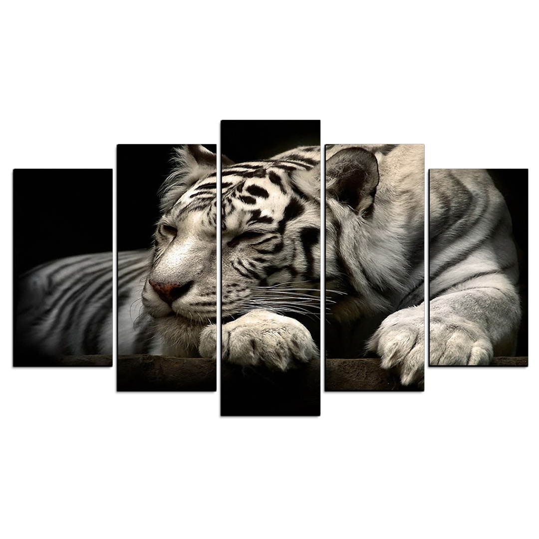 Cuadro Decorativo Tigre Blanco Fondo Blanco 100x60cm 5pzs Cuadros MX