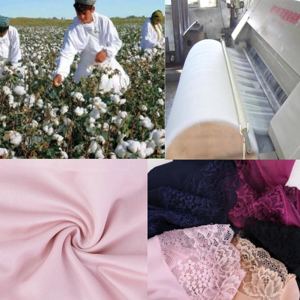 Pantaletas De Encaje Sin Costura Para Mujer, 6 Piezas