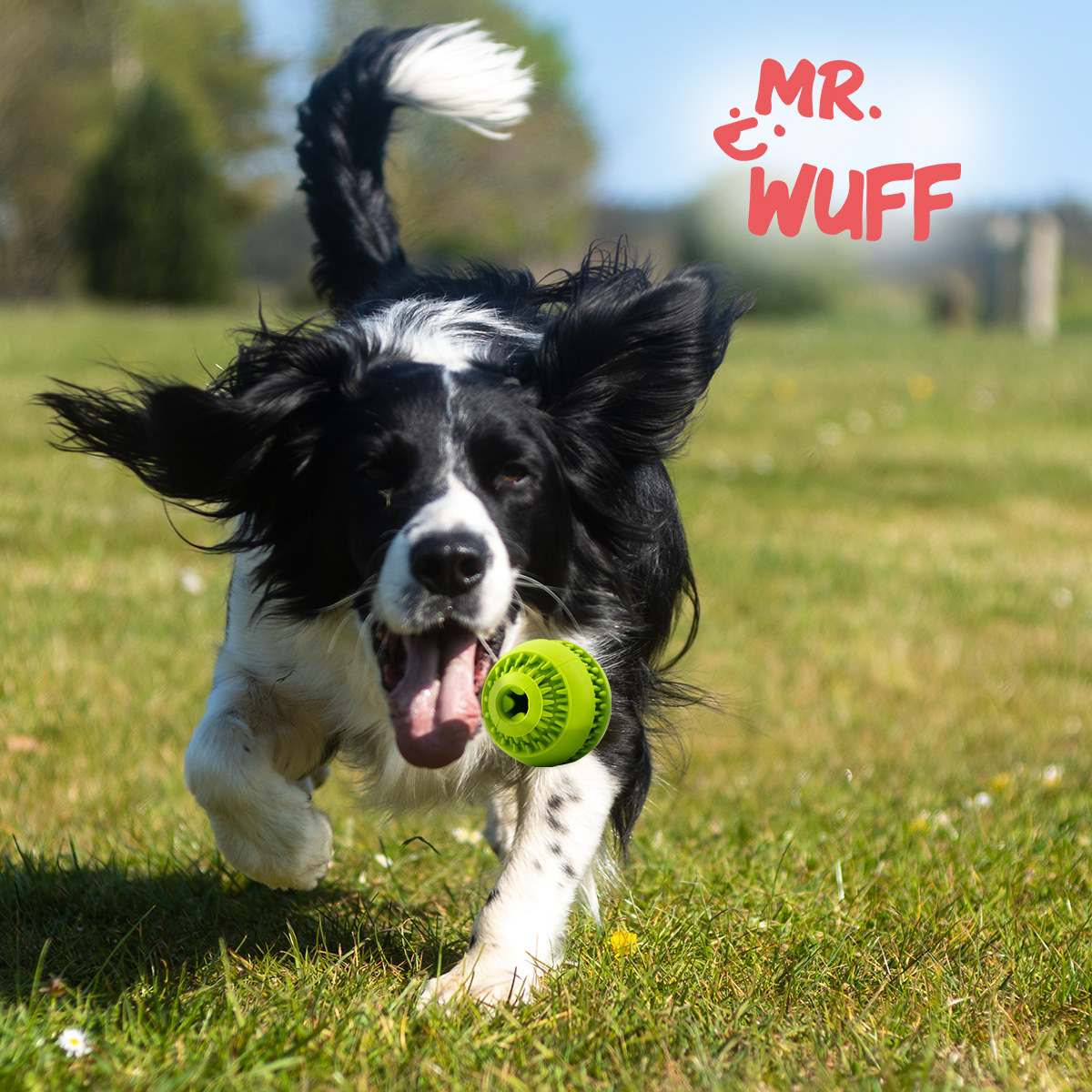 Juguete pelota para perro croquetas resistente calidad Chico Mr. Wuff