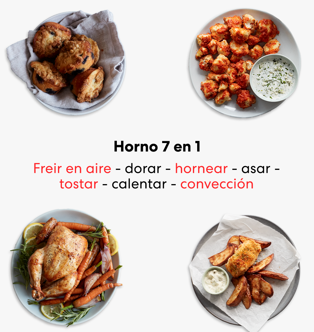 Horno, Tostador y Freidora de aire Instant Omni (18 L)