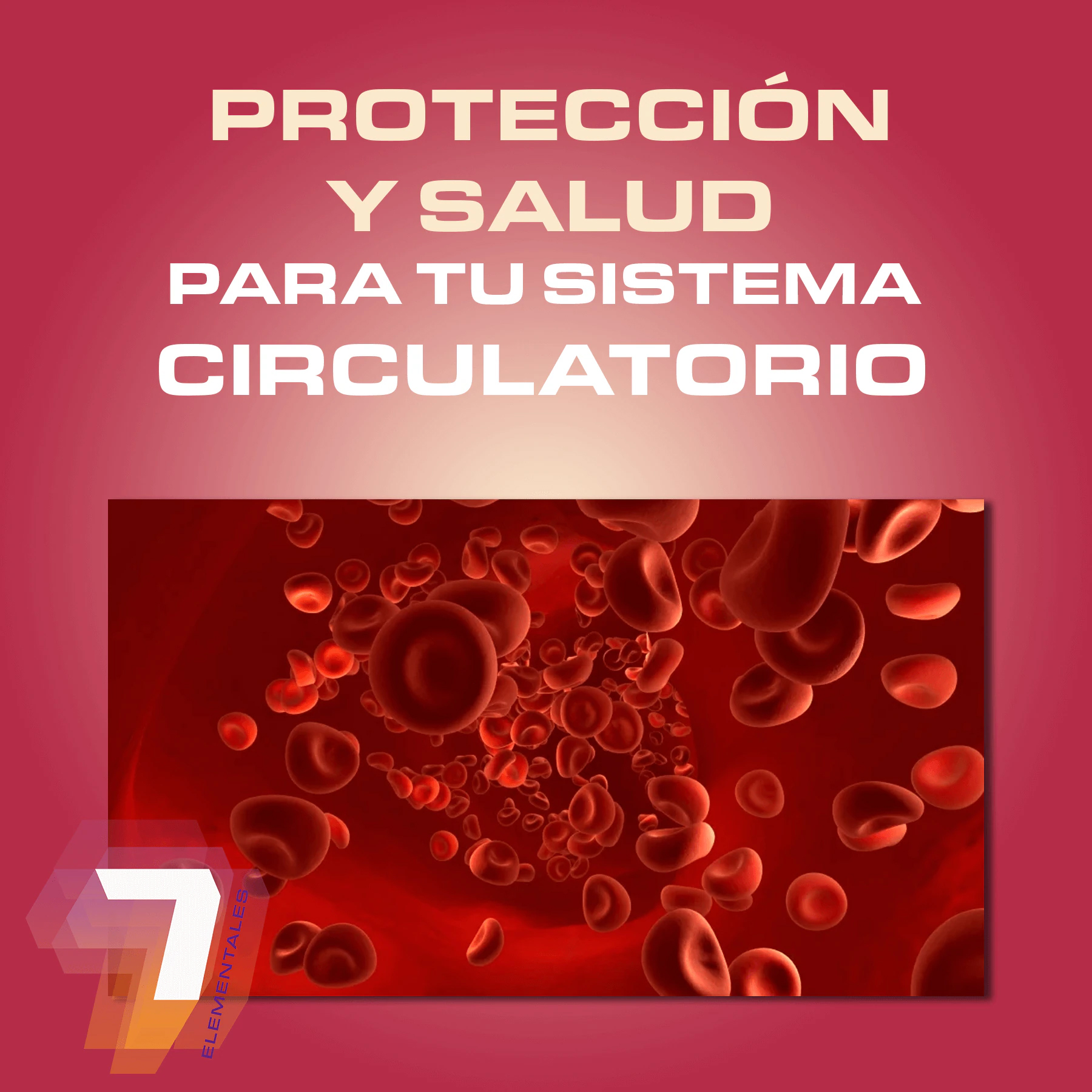 Lincasol Plus 60 Big Presión Arterial Corazón Hipertensión