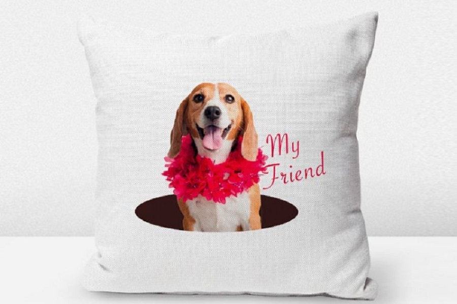 Equipo Roland VersaStudio BT-12 para impresión directa en prendas y textiles