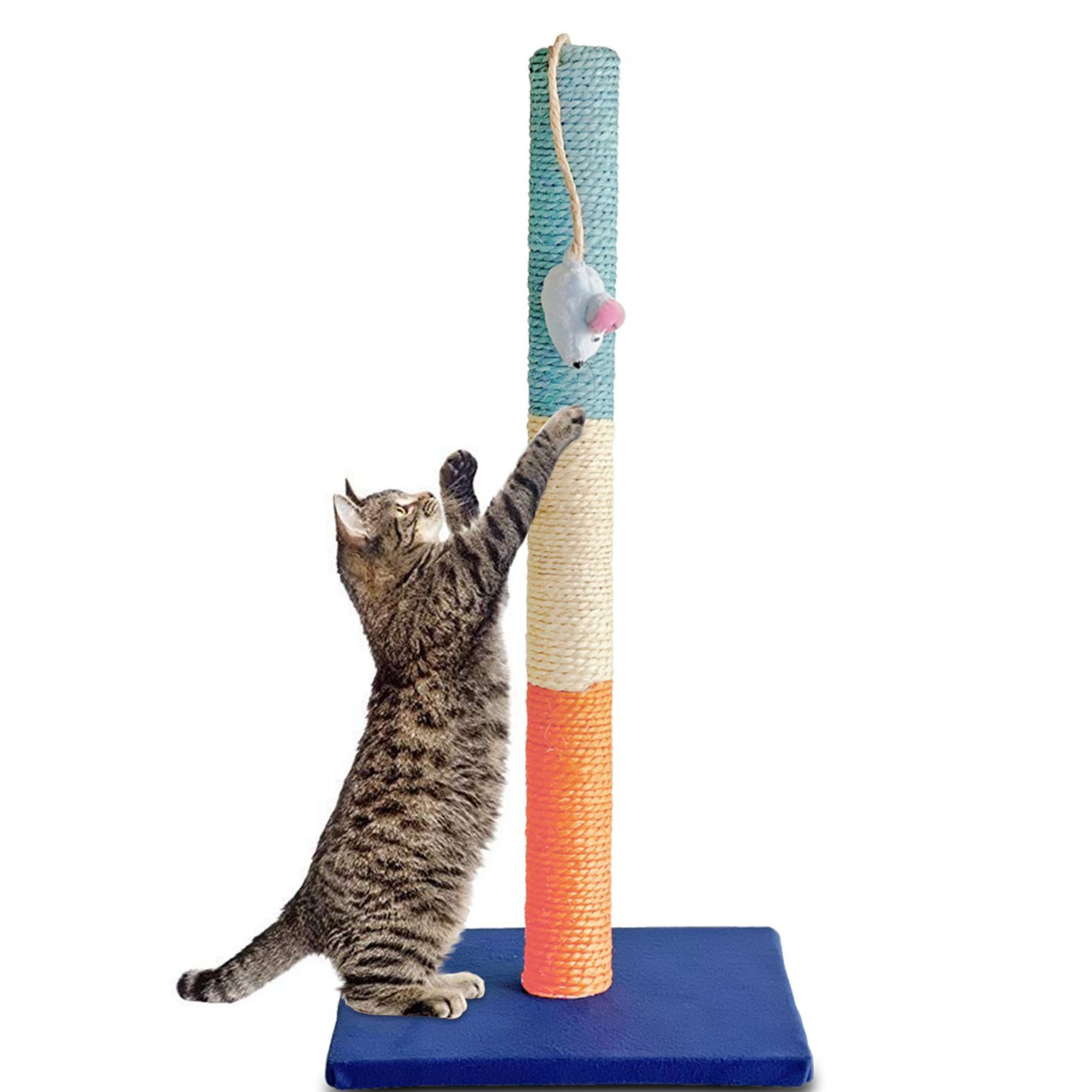 Poste Juguete Rascador Gato Grande | 1 Metro | Gratis Catnip | 