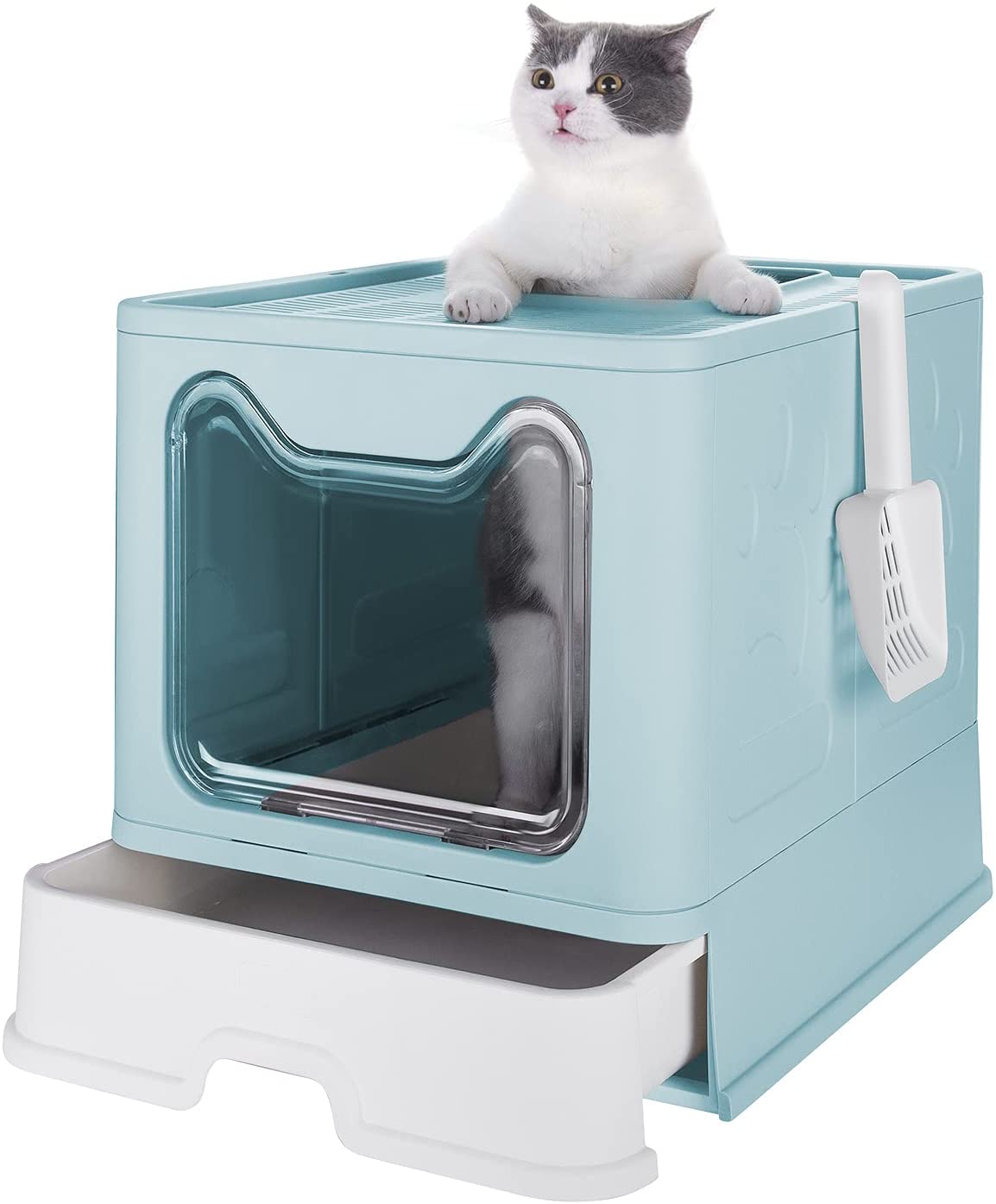 Caja de Arena para Gatos Azul