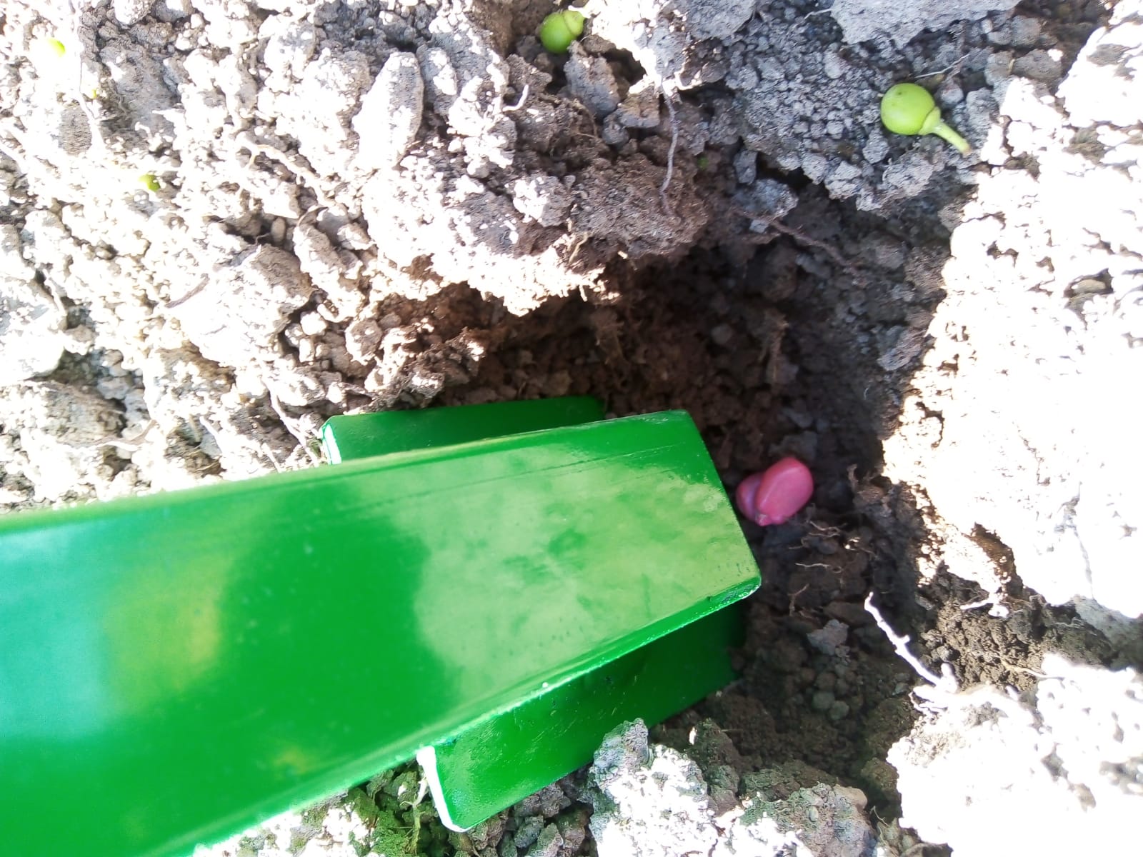 Sembradora Manual Para Siembra Directa Grano Grande-pequeño