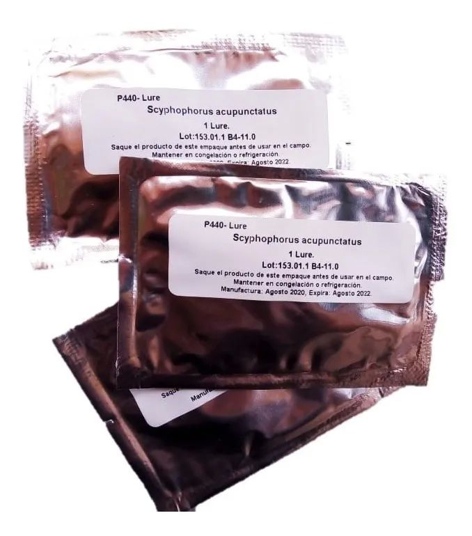 Feromona De Agregación Para Picudo Del Agave Rhynchophorus