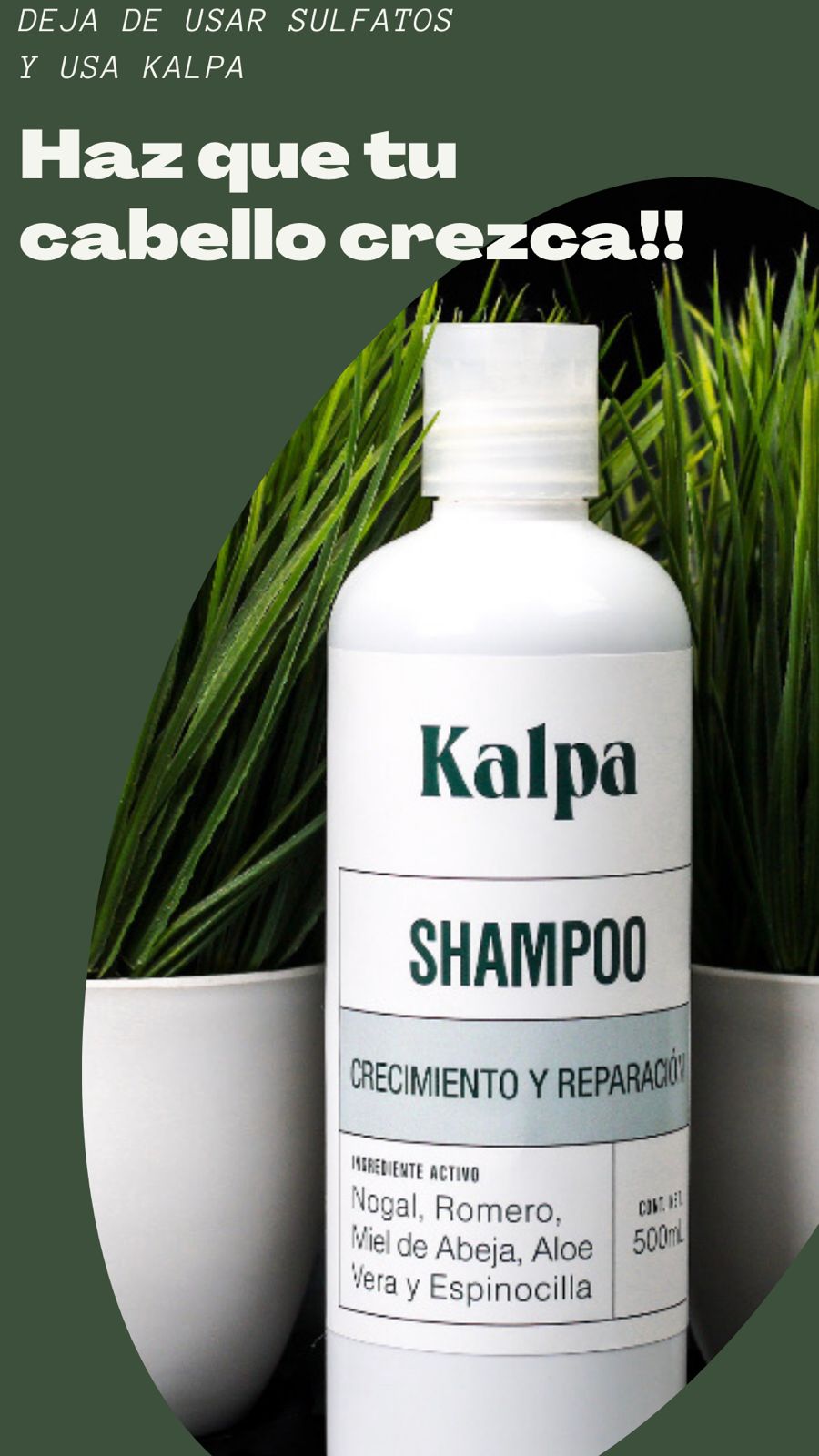 Shampoo Natural Para Crecimiento De Cabello Y Anticaída