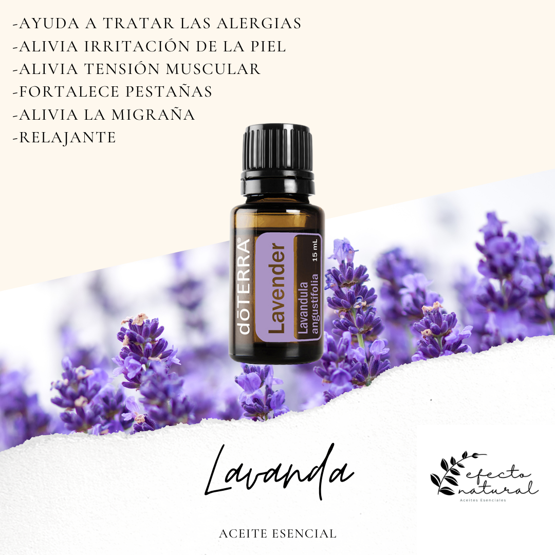 Lavanda (Aceite Esencial) doTERRA