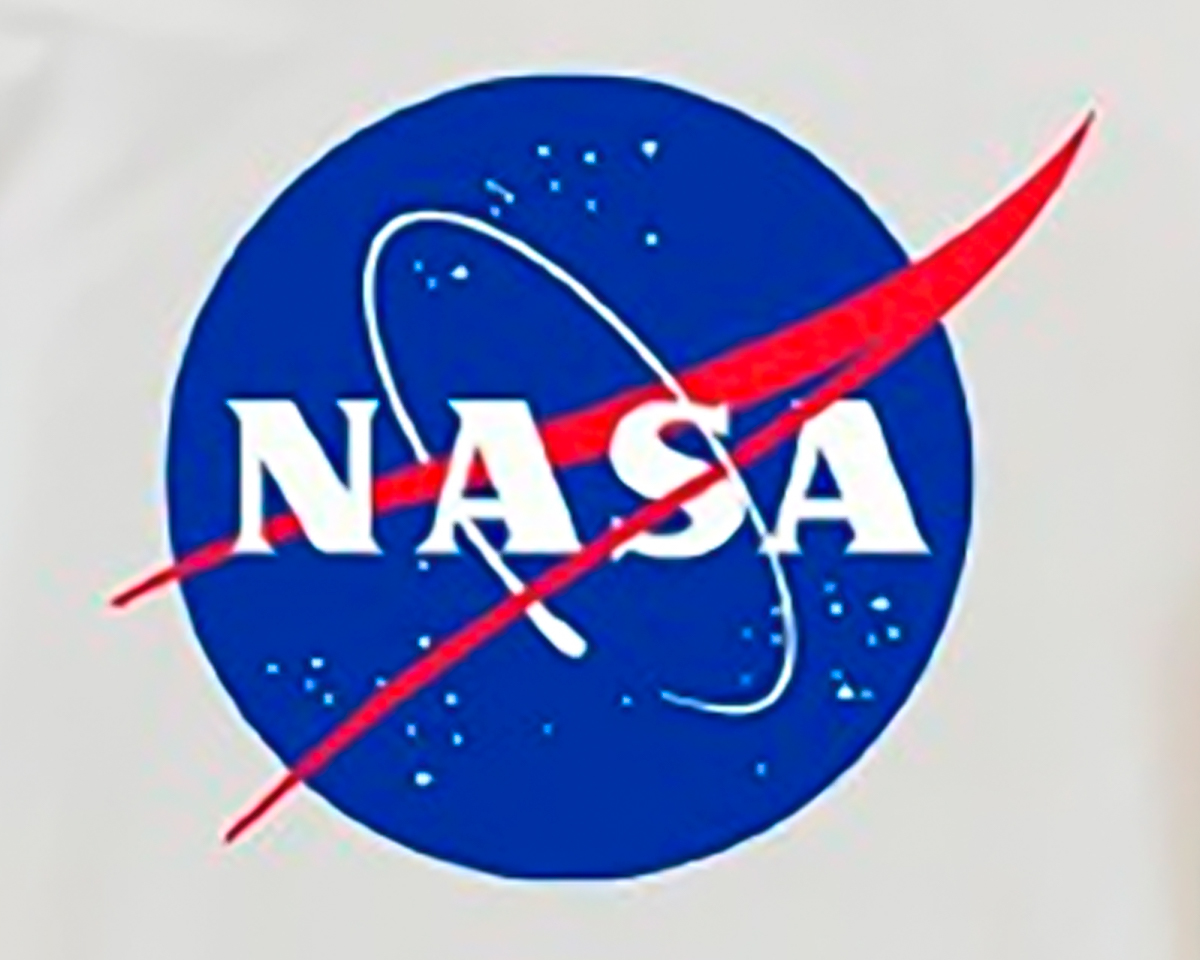 Sudadera Nasa Logo Hombre Máscara de Látex Blanca