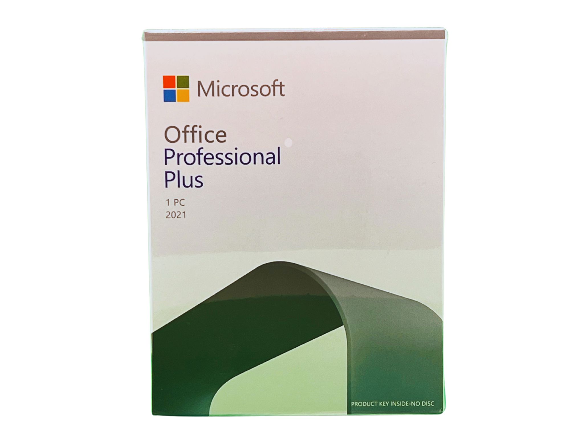 Microsoft Office Profesional Plus 2021