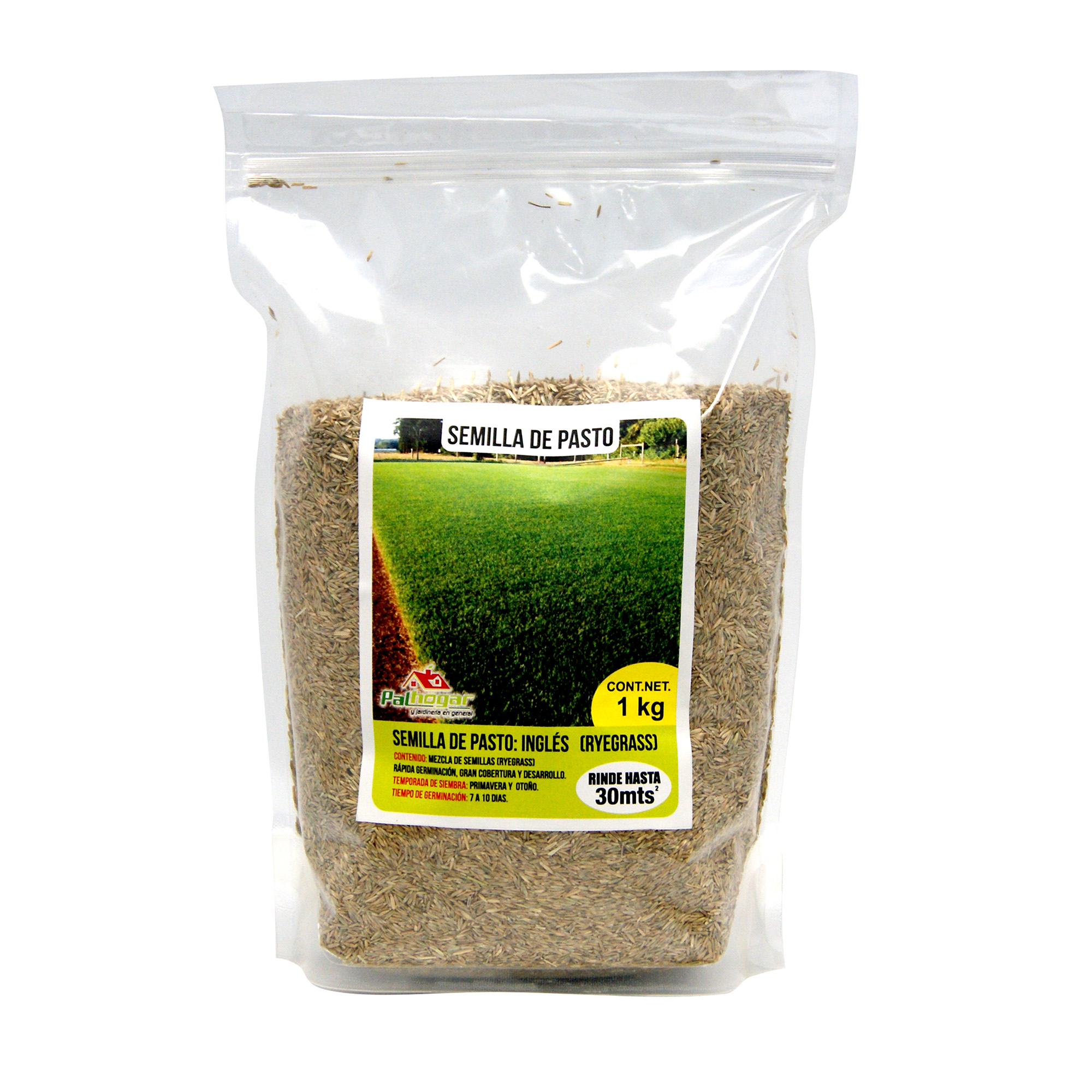 Semilla De Pasto Ingles Ryegrass 1kg