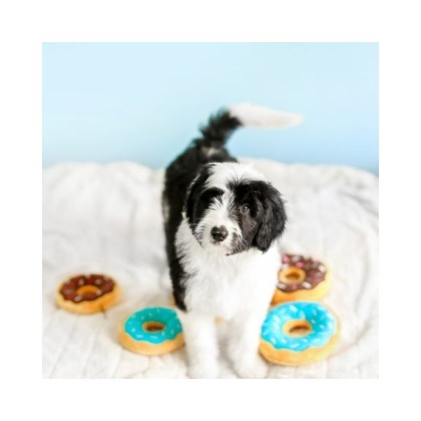 PELUCHE PARA PERRO EN FORMA DE DONAS DE CHOCOLATE CON SONIDO. CAJA DE 4 PIEZAS