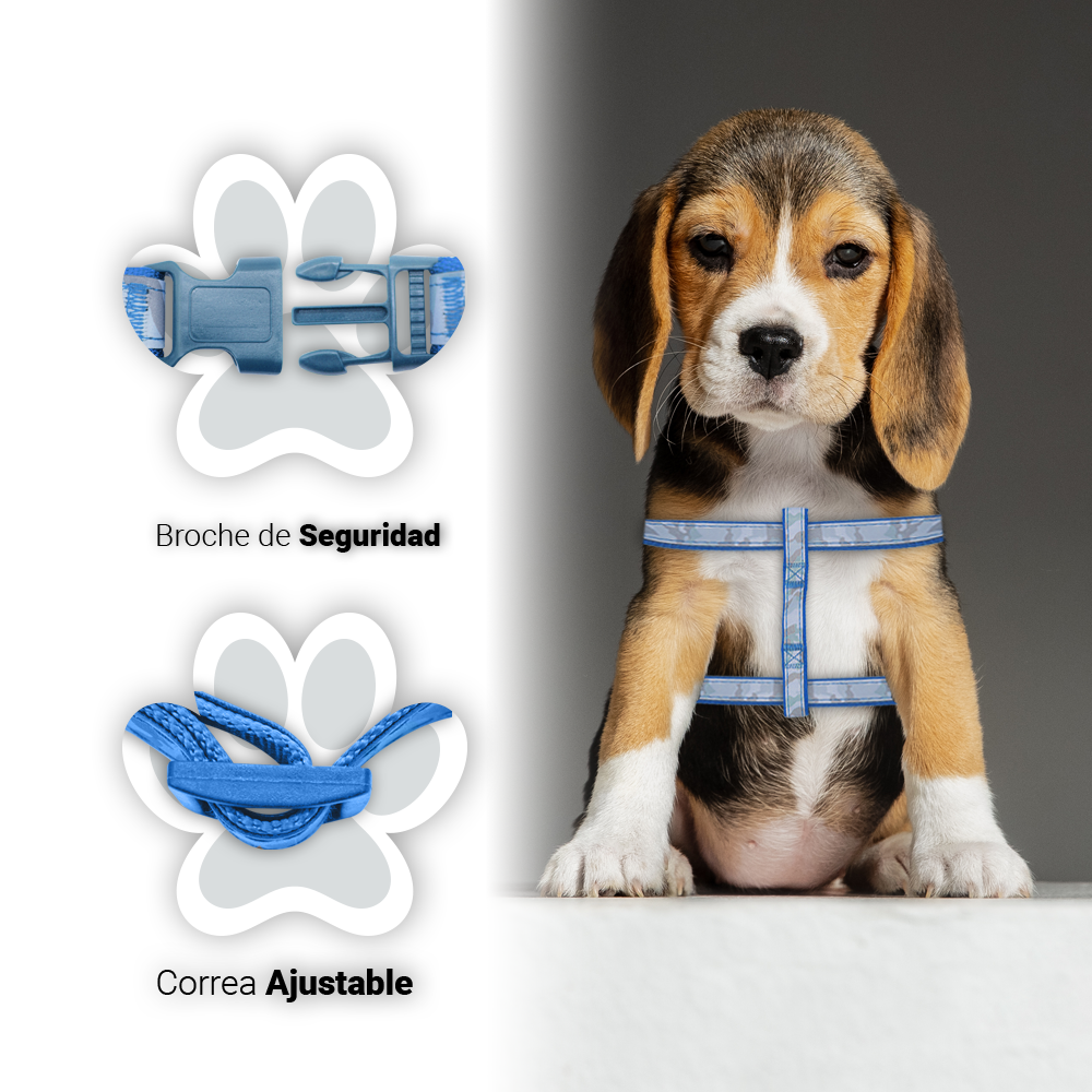 Arnés De Seguridad Pechera Azul Ajustable Para Perros Chicos Mascotas