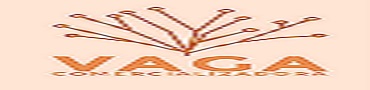 Comercializadora VAGA