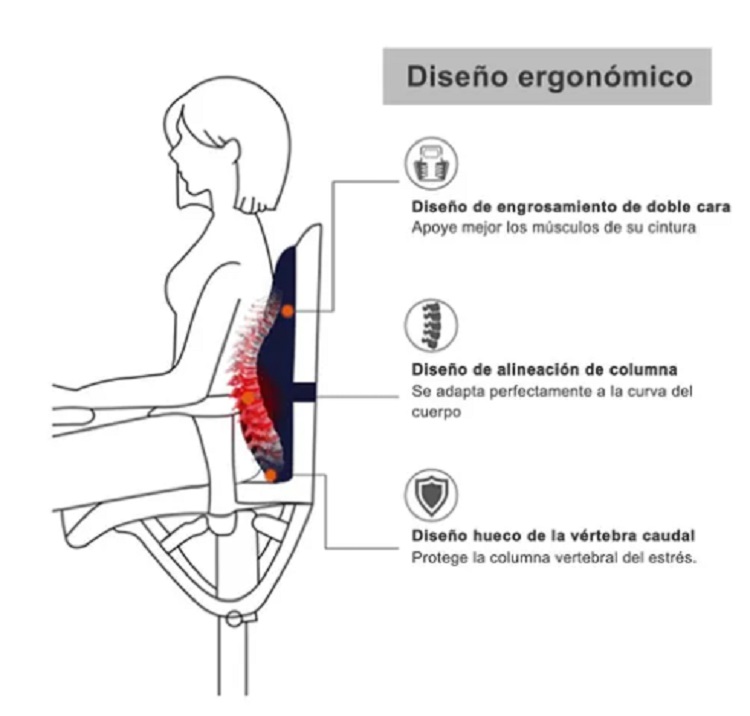 Almohada Ergonómica De Apoyo Lumbar Para Silla