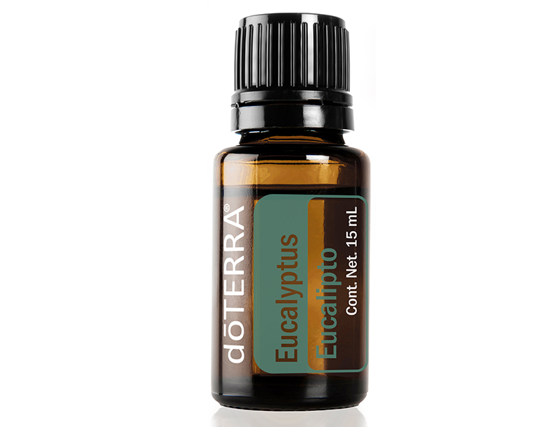 Eucalipto (Aceite Esencial) doTERRA