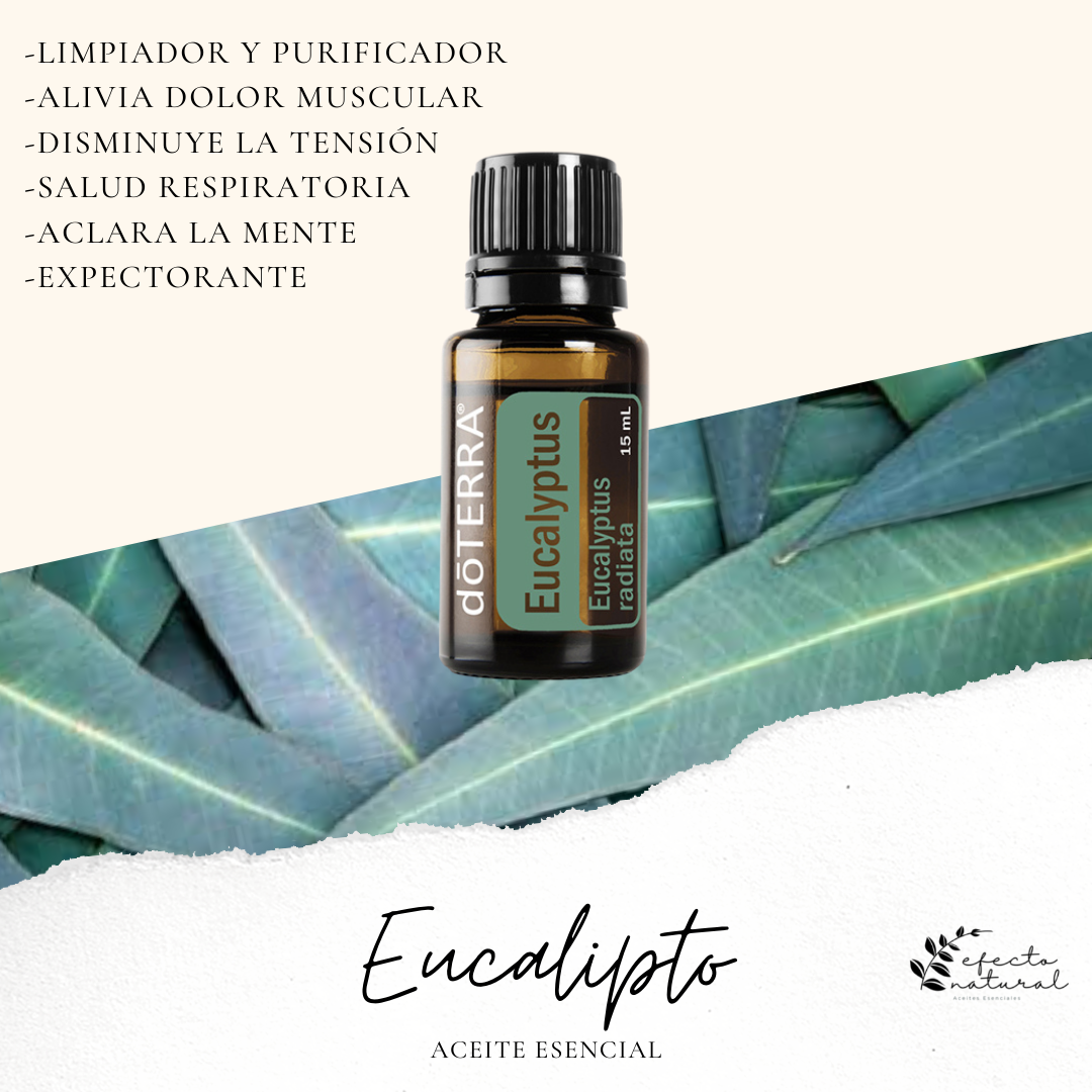 Eucalipto (Aceite Esencial) doTERRA