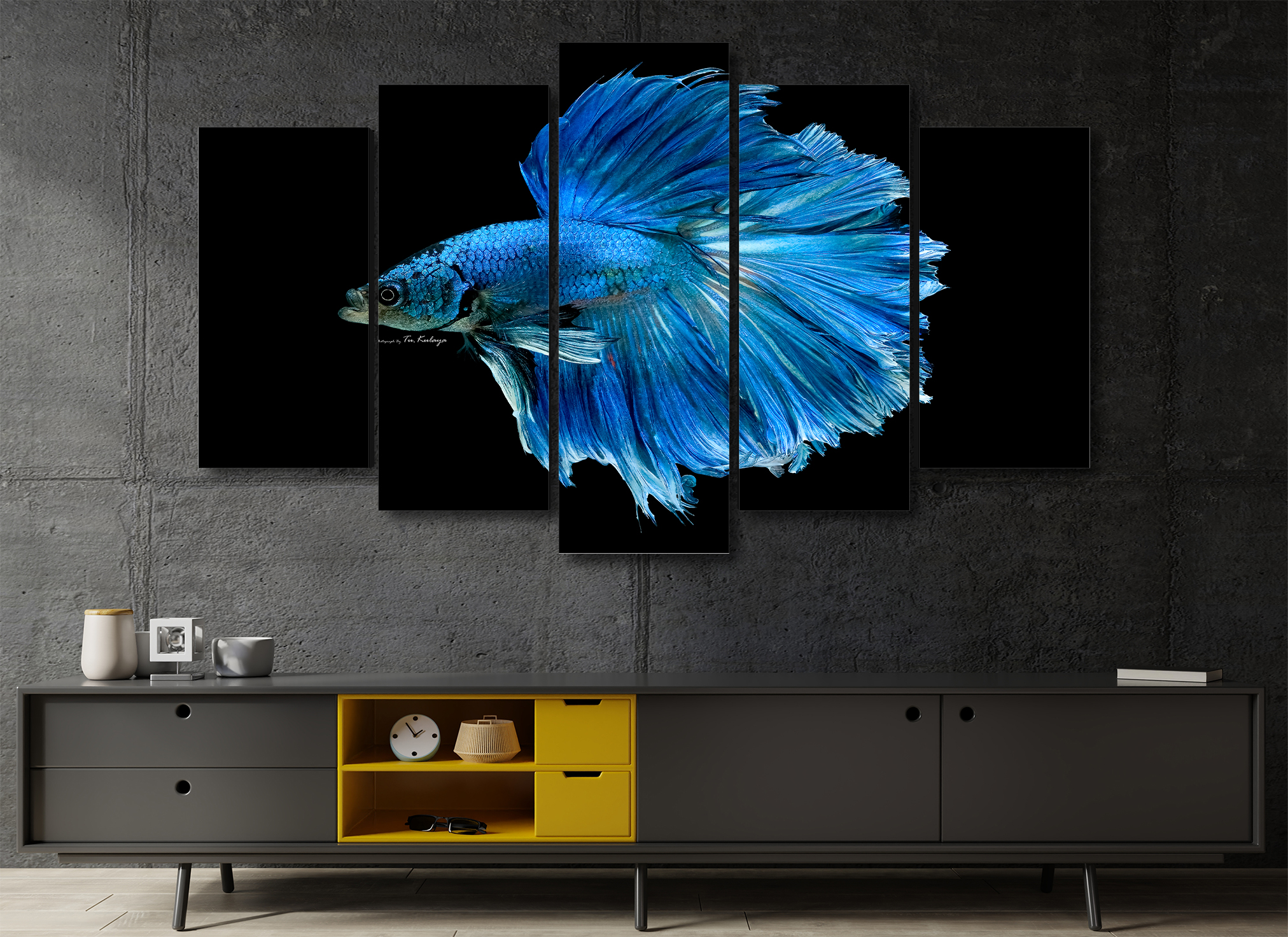 Cuadro Decorativo Animales Pez Betta Azul100x60cm 5pzs Cuadros MX