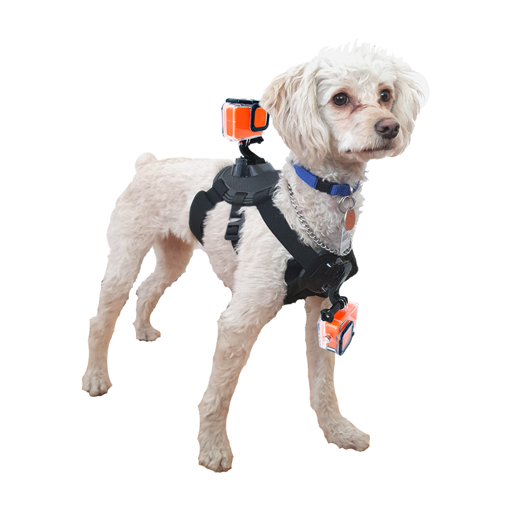 Arnés Perro Dog Harness Compatible GoPro Cámaras Deportivas