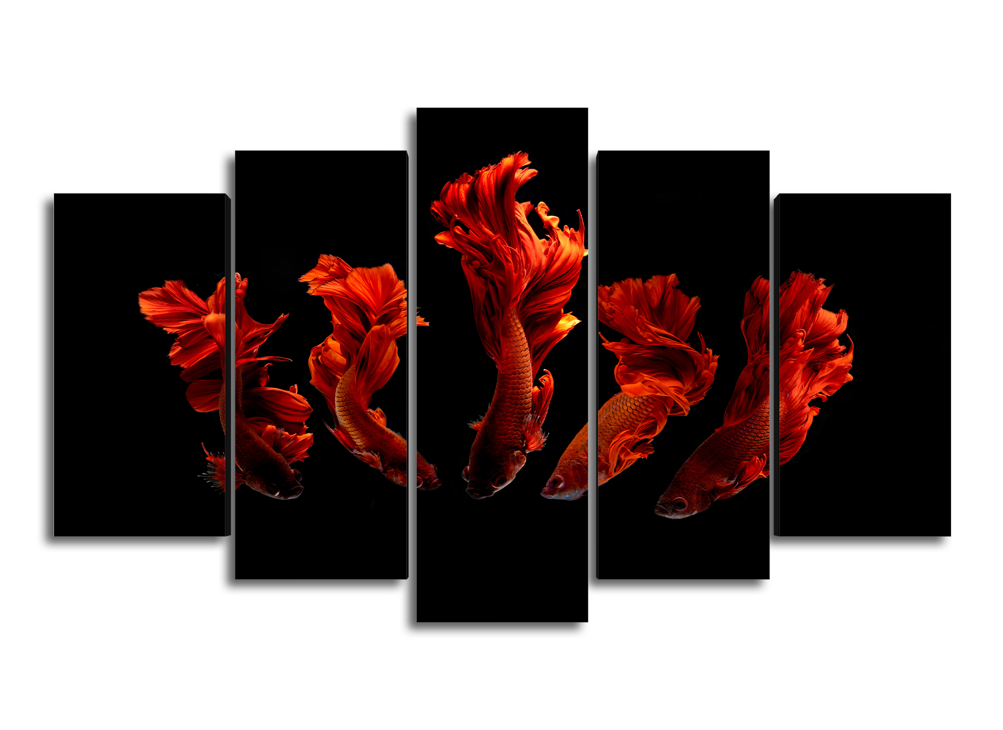 Cuadro Decorativo Animales Peces Rojos Fondo Negro100x60cm 5pzs Cuadros MX