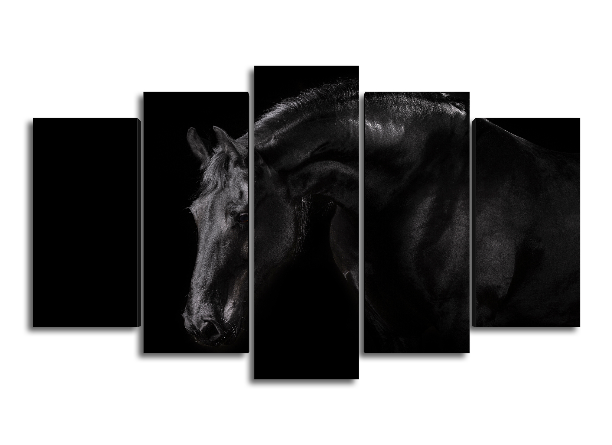 Cuadro Decorativo Animales Caballo Negro Fondo Negro100x60cm 5pzs Cuadros MX