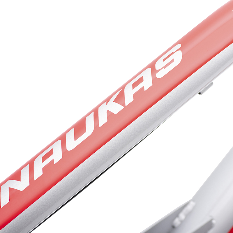 Bicicleta Veloci Naukas Pro FD Rodada 26 Plata