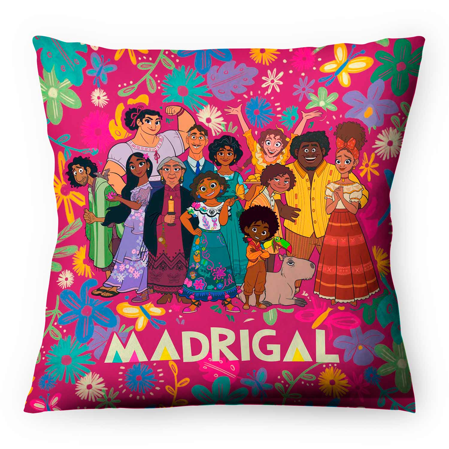 Cojin Encanto Familia Madrigal
