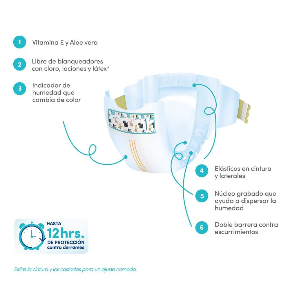 Pañales Etapa 6 Member's Mark 72 pzas