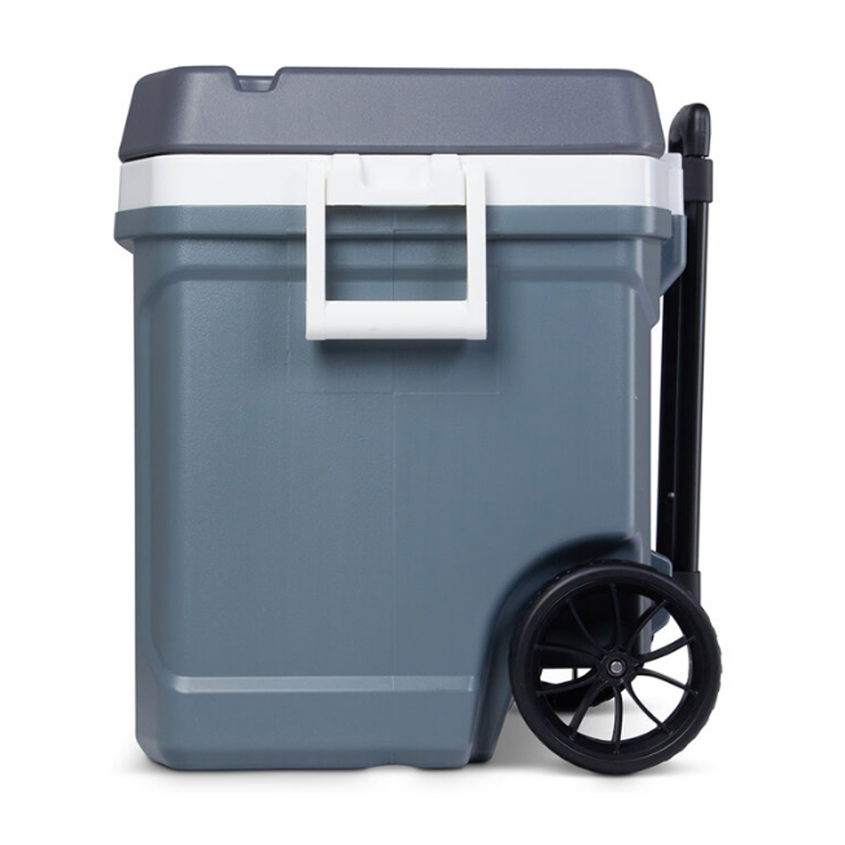 Hielera Max Cold Latitud de 58.6L con Ruedas Igloo 2622043 CST