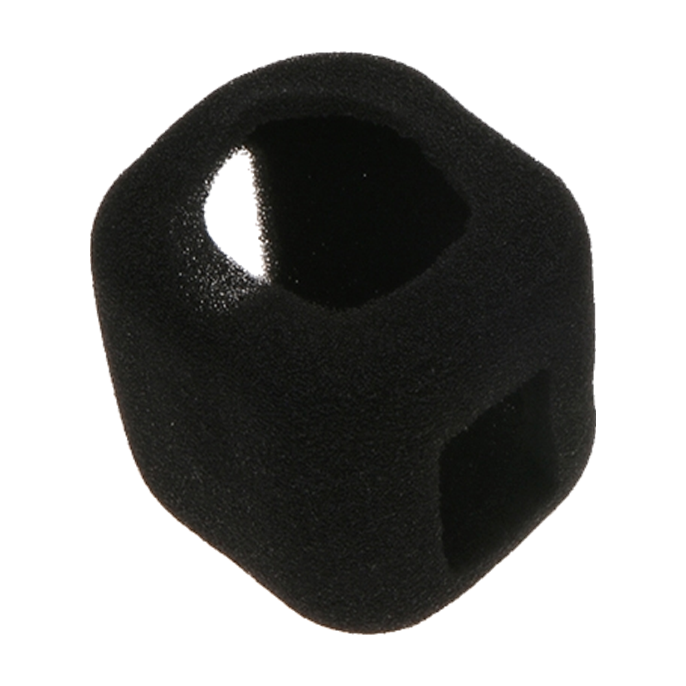 Funda Esponja Anti Ruido Compatible GoPro Hero Session