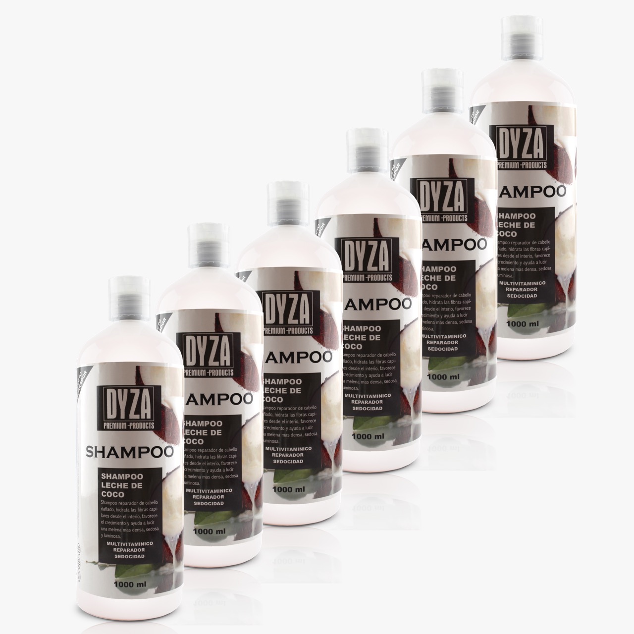 Shampoo Leche de Coco DYZA - Mayoreo 6pzs