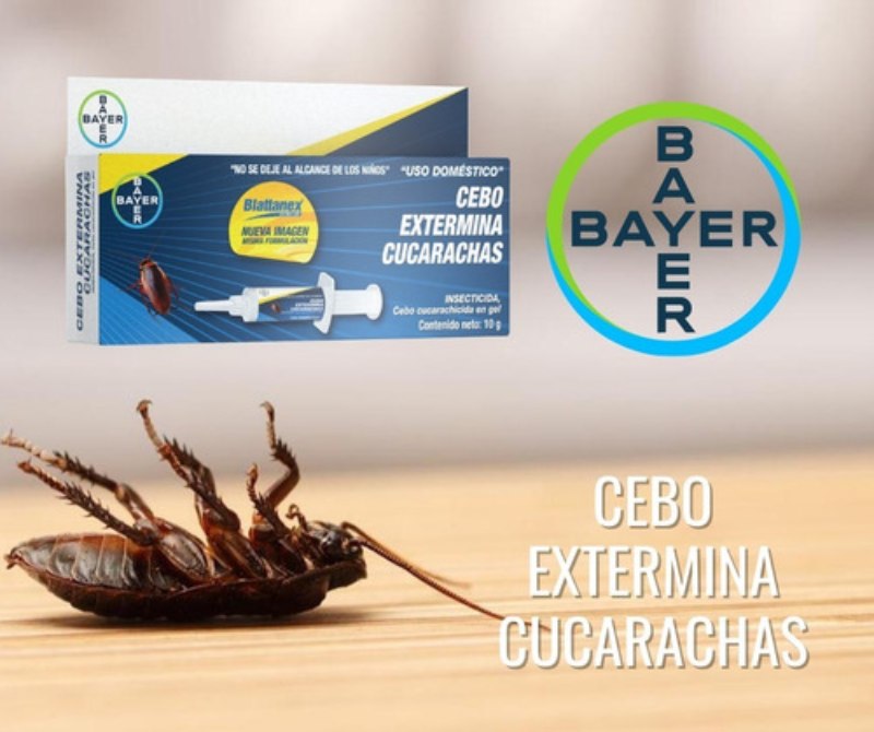 Cebo Insecticida en Jeringa Gel Para Cucaracha 10g Bayer