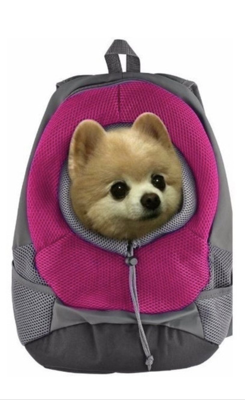 MOCHILA BACK PAK TRANSPORTADORA PARA MASCOTA DE TELA