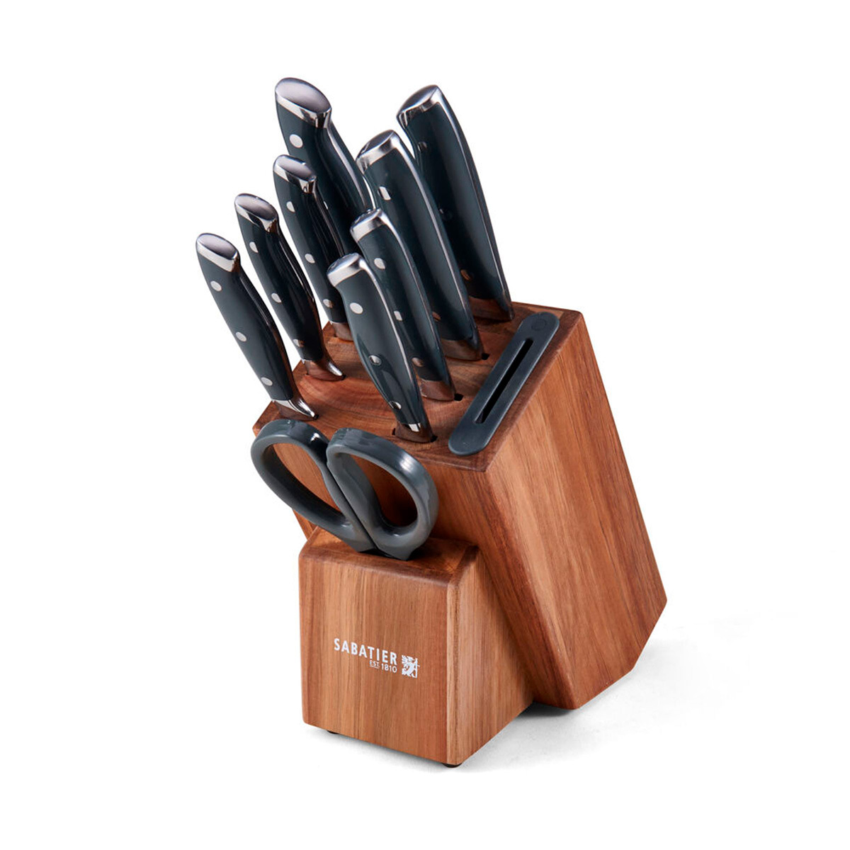 Juego de Cuchillos con Bloque de Madera 10 piezas Alemanes Sabatier