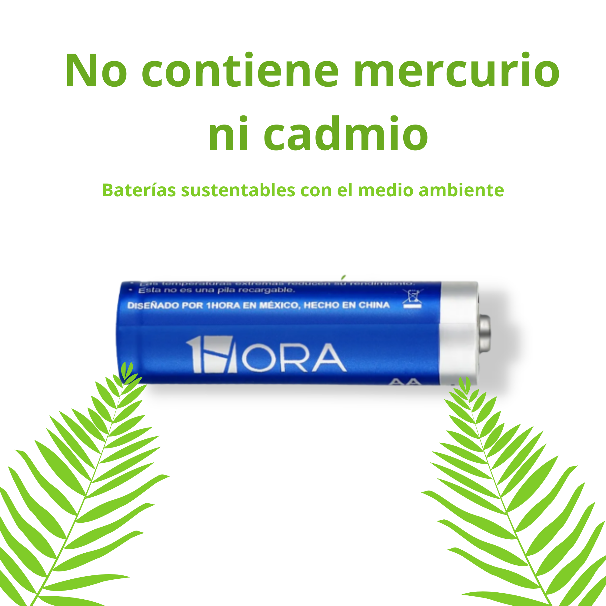 Pilas Alcalinas AAA De Alto Rendimiento, 12 Pilas Económicas