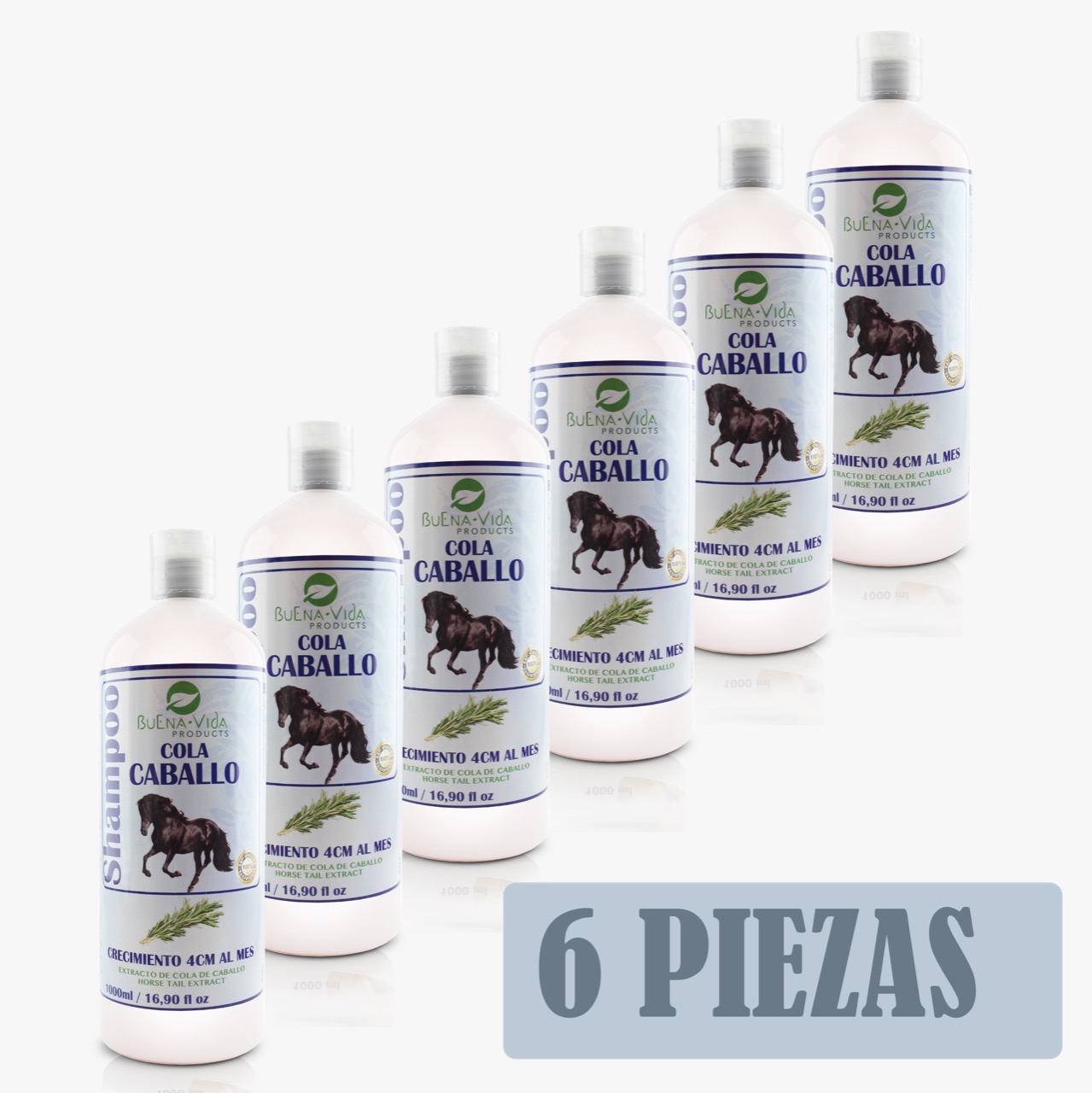 Shampoo Cola de Caballo BuenaVida - Mayoreo 6pzs