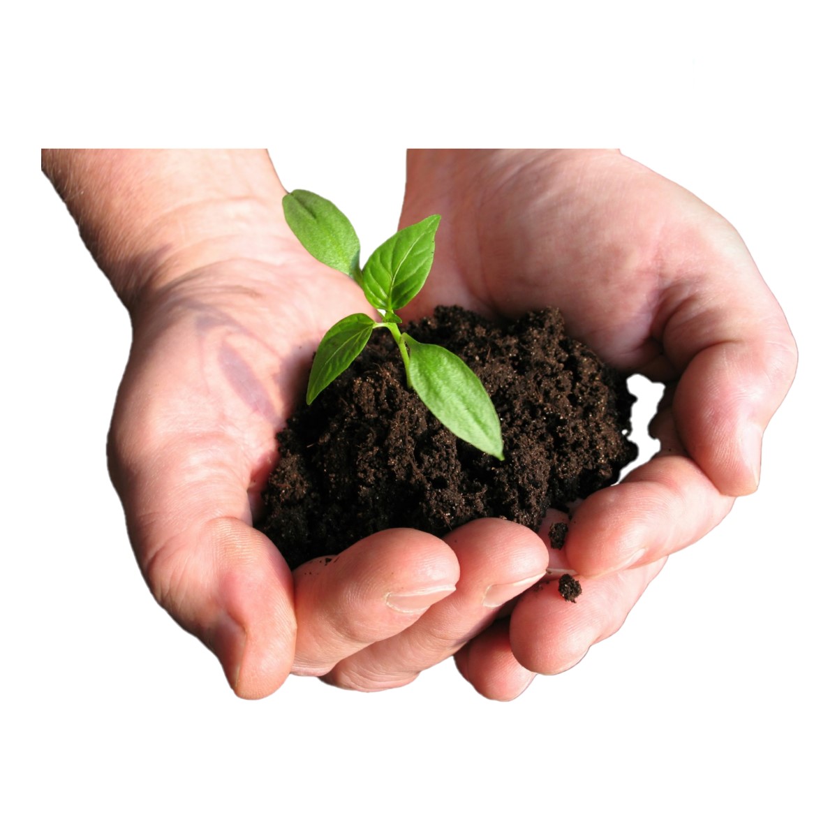 Tierra preparada para macetas y jardinería. Paquete 1kg