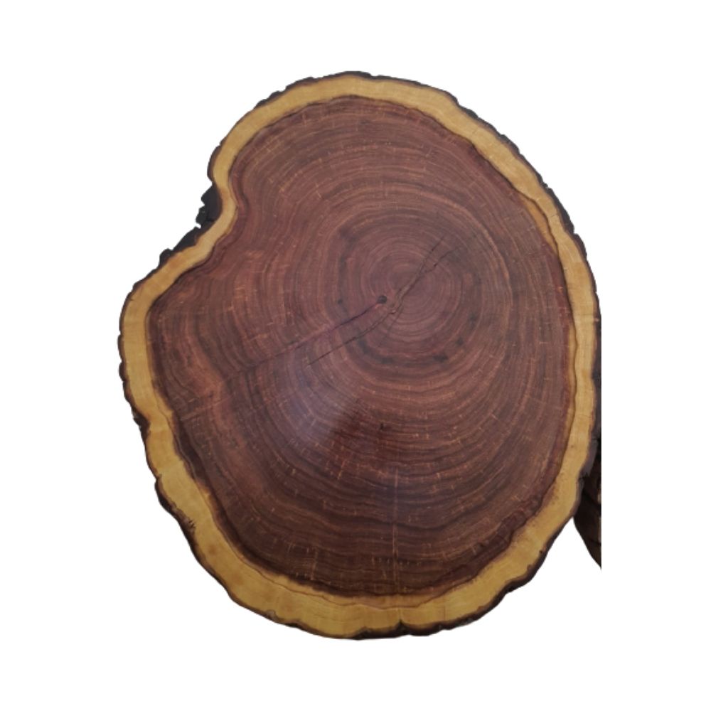 TABLA O TRONCO PARA PICAR ARTESANAL 100% MEZQUITE