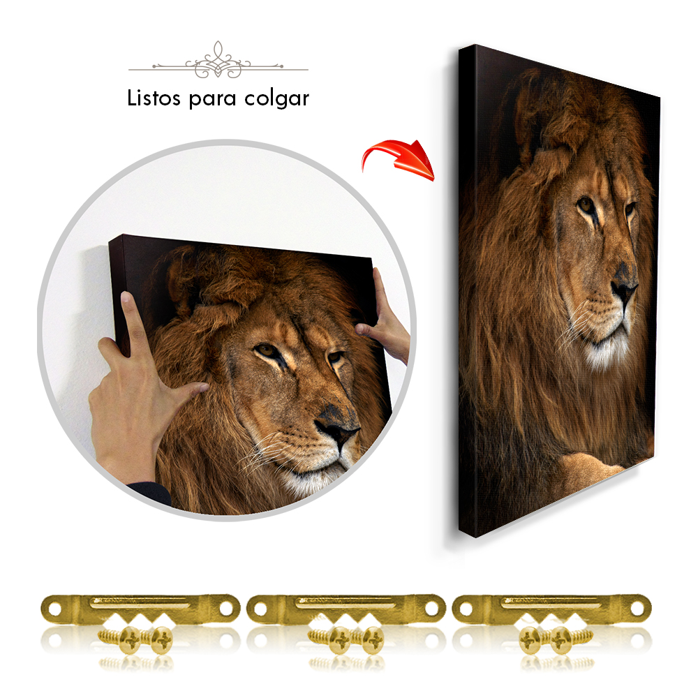 Cuadros Decorativos Imitación Óleo Canal en Amsterdam MobileCity Set 3 piezas 40 x 60