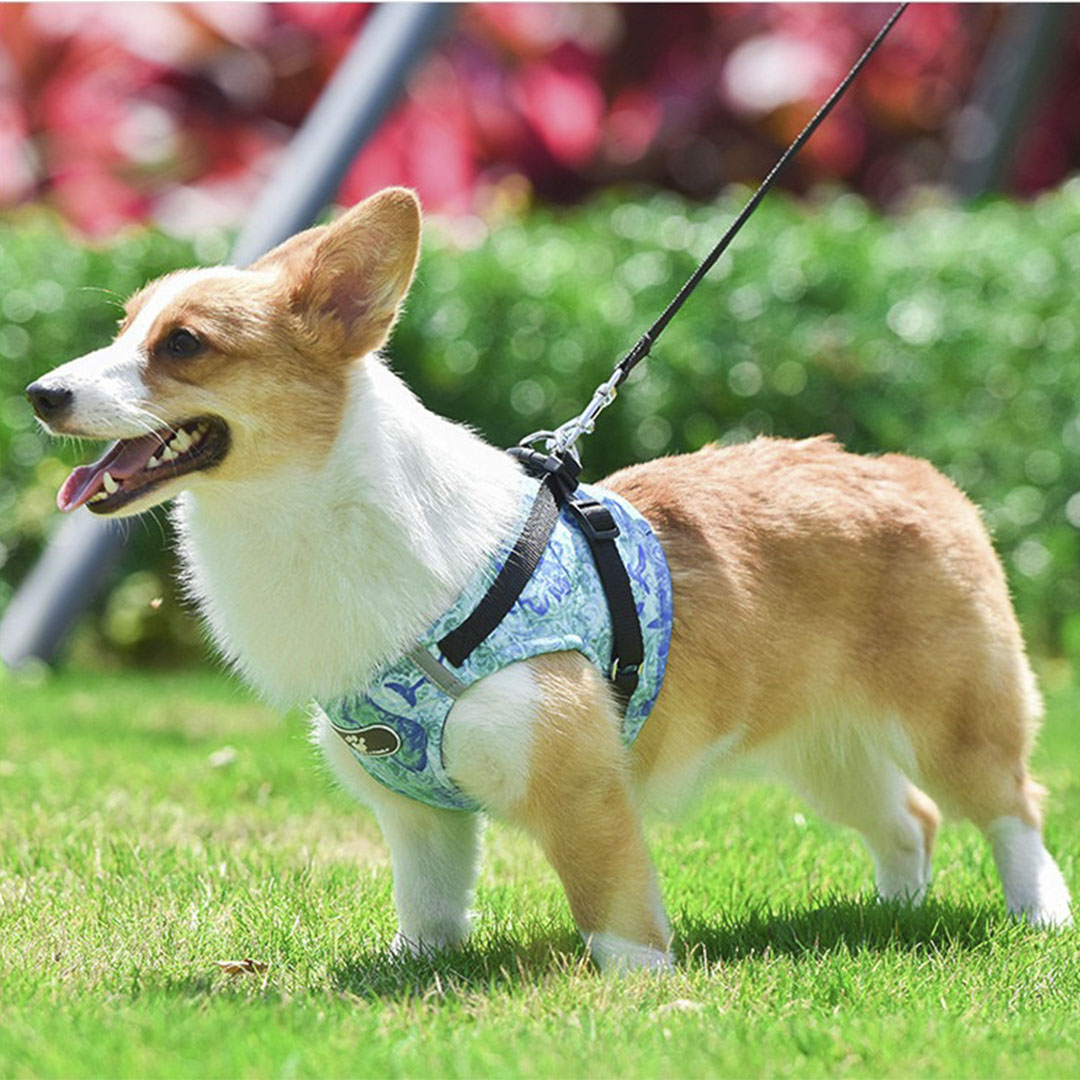 Pechera Arnés Reflectante Para Perros Ajustable Con Correa