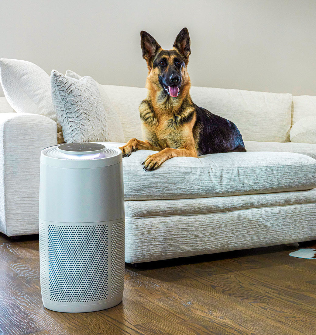 Purificador de Aire AP300, Instant, Filtros HEPA, Elimina el 99.9% de bacterias y virus