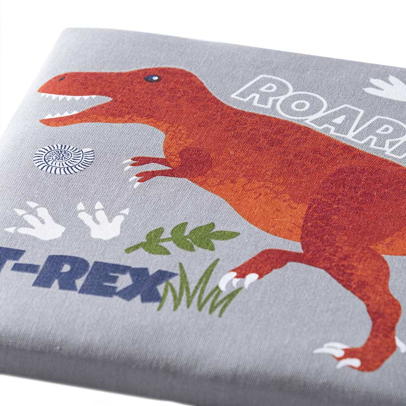 CUADROS REX, VIANNEY