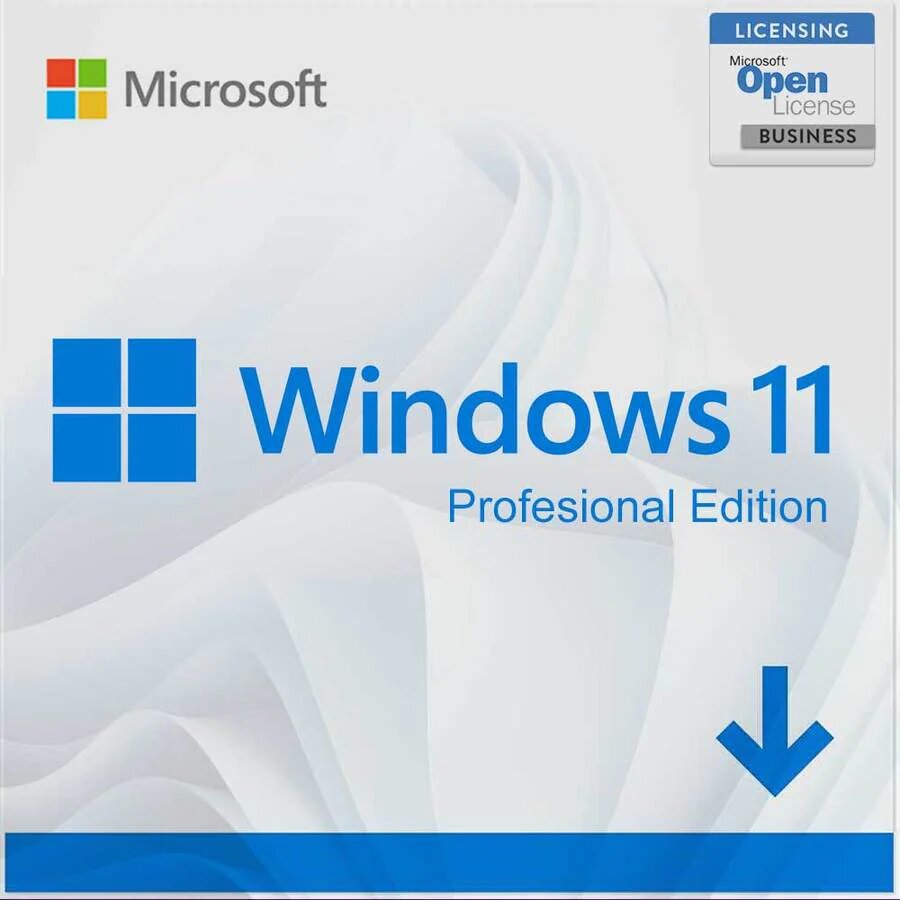 Windows 11 Professional + Office 2021 Professional Plus 