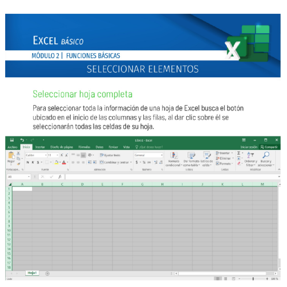 Curso Excel Office Básico, BUnited Virtual con acompañamiento