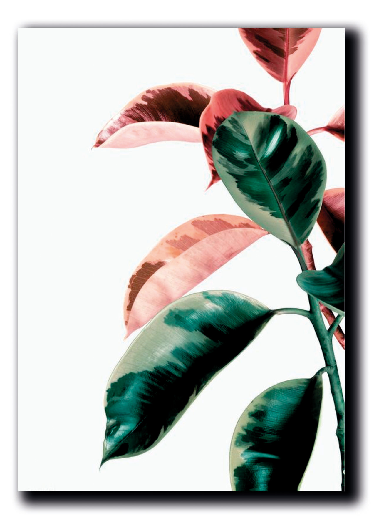 Cuadros Decorativos Set de 3 pzs Canvas de hojas moderno #3 40 X 60 cm