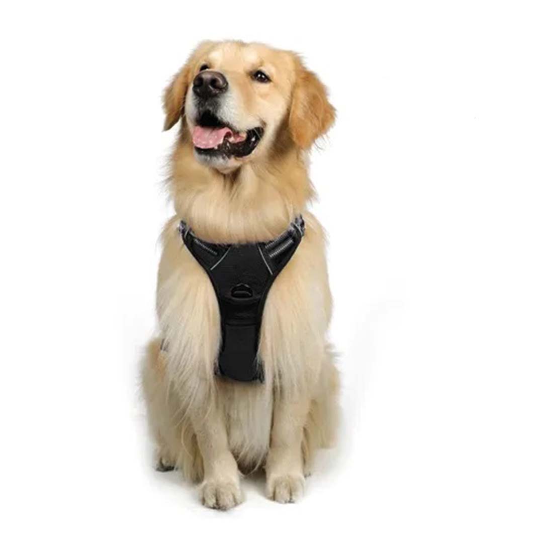 Pechera Arnés Muy Resistente Para Perro Grande